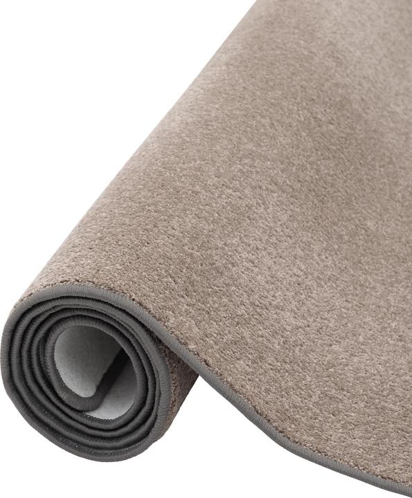 Produktbild Snapstyle Trend Velours Läufer Teppich Joy (100 x 300 cm)