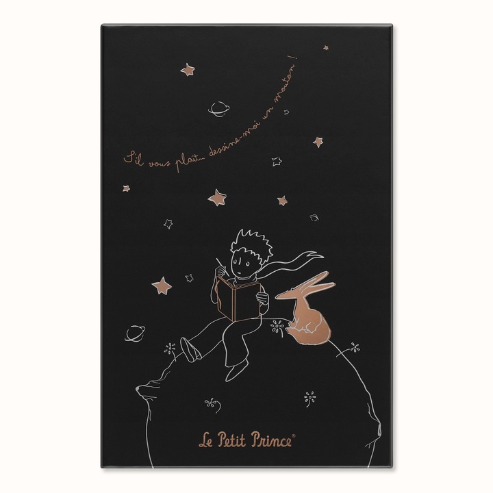 Moleskine Le petit prince (130 x 210 mm, À rayures, Couverture rigide)