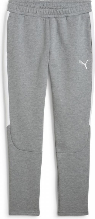 Actual product image Puma teamEVOSTRIPE Pants (M)
