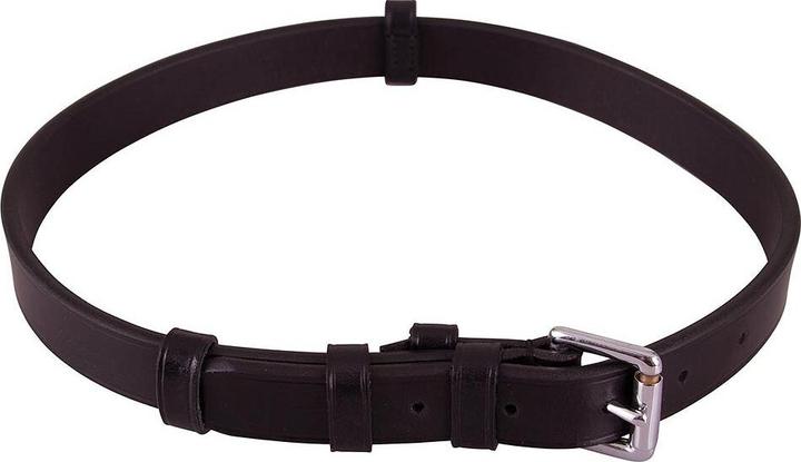 Produktbild BR Equestrian Equipment Kinnschutzriemen für Pferde mit Schnalle