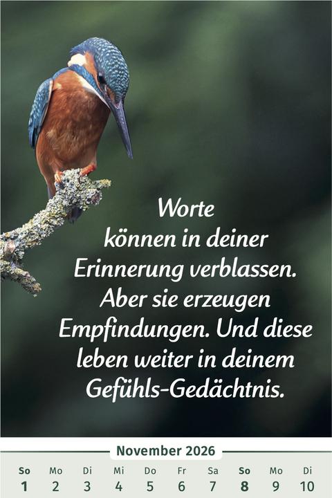 Produktbild Lebensfreude-Kalender (Harter Einband, Deutsch)