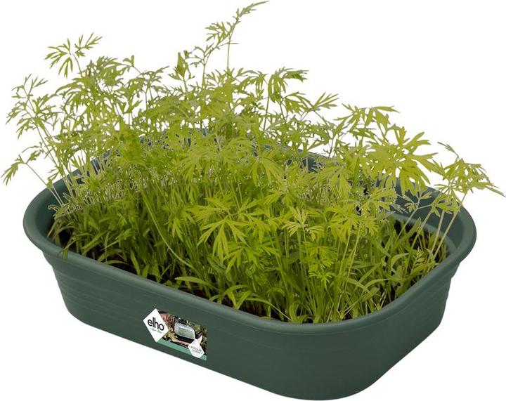 Image du produit Elho Green Basics