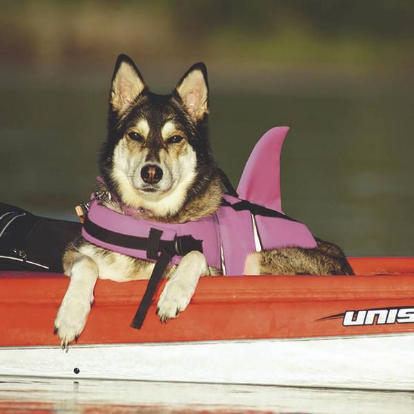 Image du produit Nobby Sharki (M, Gilet de sauvetage pour chien)