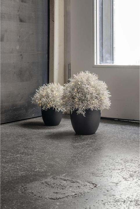 Actual product image STT Calo 27