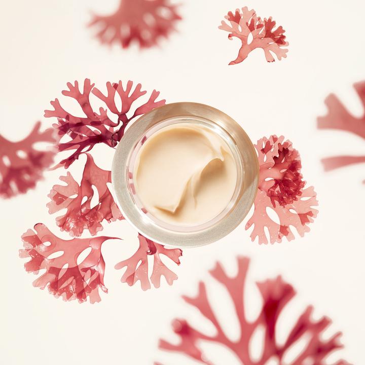 Produktbild Shiseido Wrinkle Smoothing Cream Enriched (75 ml)