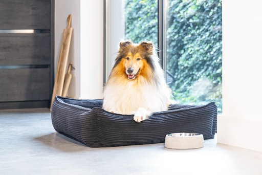 Actual product image Designed by Lotte Ribbed (Dog)