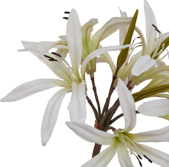 Immagine prodotto Hill Interiors Kunstblume (61 cm)