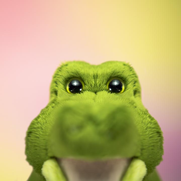 Image du produit Trudi Crocodile