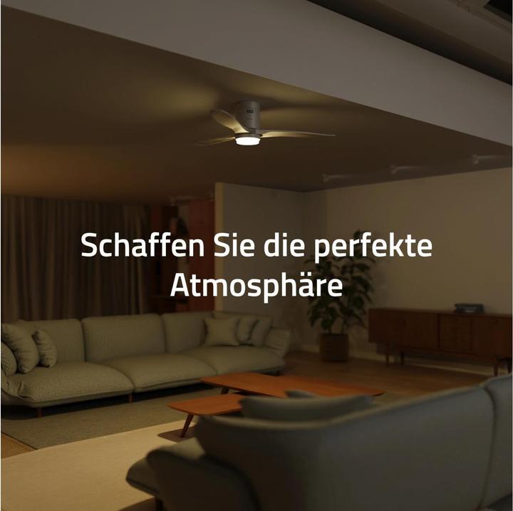 Produktbild Hombli Deckenventilator mit Licht (43 dB)