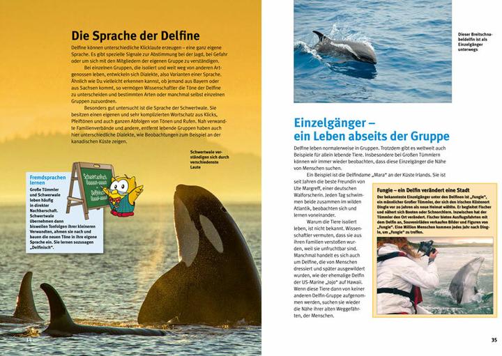 Produktbild Entdecke die Delfine (Deutsch, Kim Cornelius Detloff, 2022)