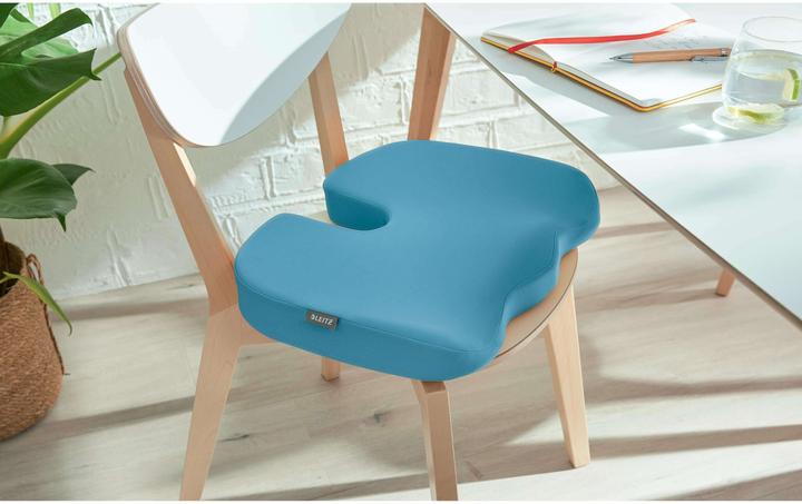 Immagine prodotto Leitz Cuscino per sedile Ergo Cosy (35.50 x 45.50 cm)