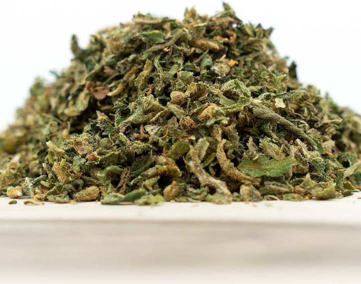 Image du produit Herba di Berna V1 & Harlequin Indoor Mix (50 g, Intérieur)