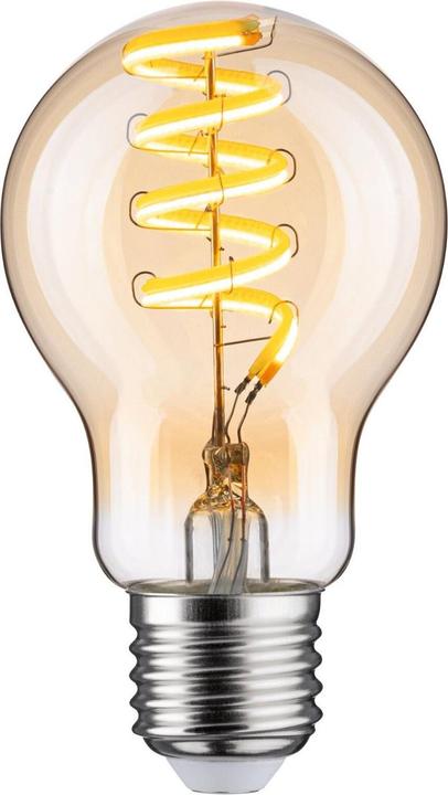 Image du produit Paulmann Filament (E27, 7 W, 600 lm, 1 x, G)
