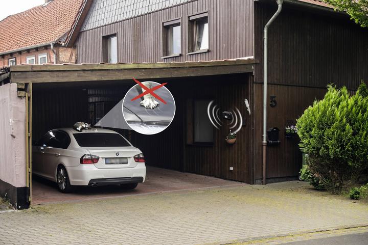 Actual product image Gardigo Cat repellent