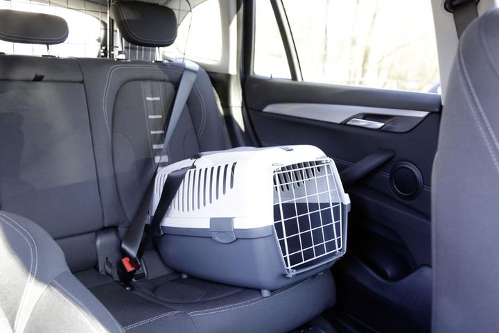 Immagine prodotto Kerbl Gulliver 1 (Cane, Gatto, Chiudibile a chiave)