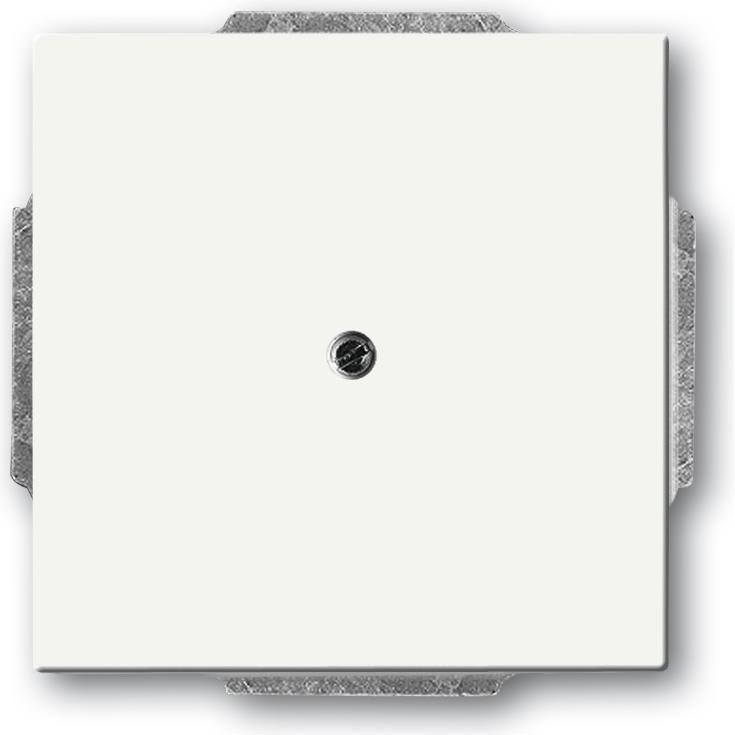 Busch-Jaeger, Programma di commutazione degli accessori, Disco centrale