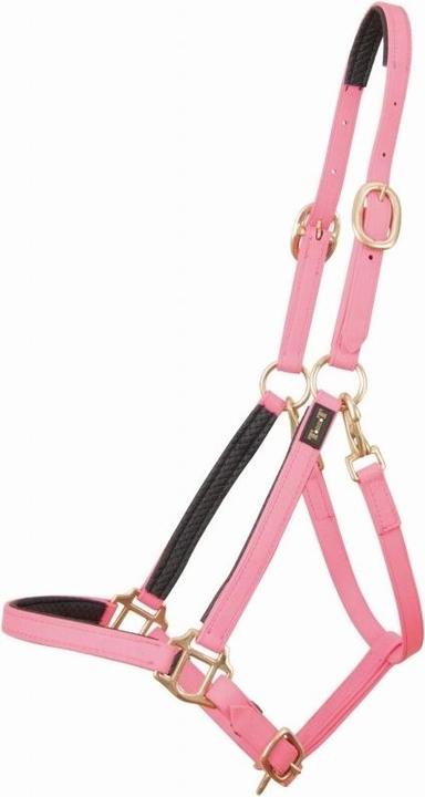 Produktbild TdeT Biotack®