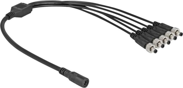 Image du produit Delock Câble de distribution DC 5,5 x 2,1 mm 1 x femelle vers 5 x mâle vissable (0.50 m)