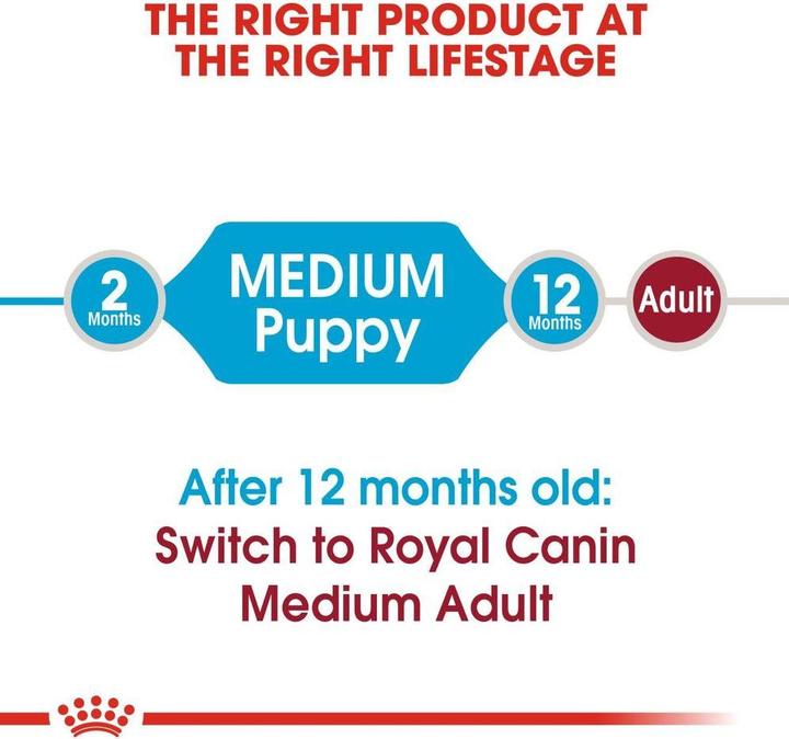 Produktbild Royal Canin Medium Junior (Junior, 1 Stk., 4000 g)