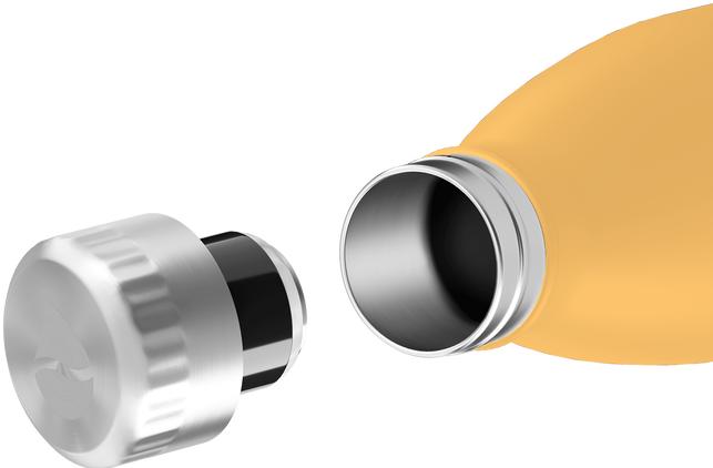 Actual product image FLSK Drinking bottle (1 l)