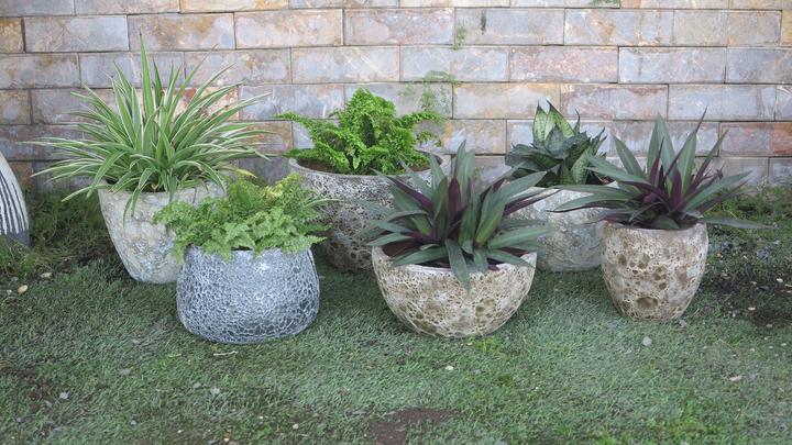 Produktbild Jaco Sandblast Columbus Set (29 x 19 cm)