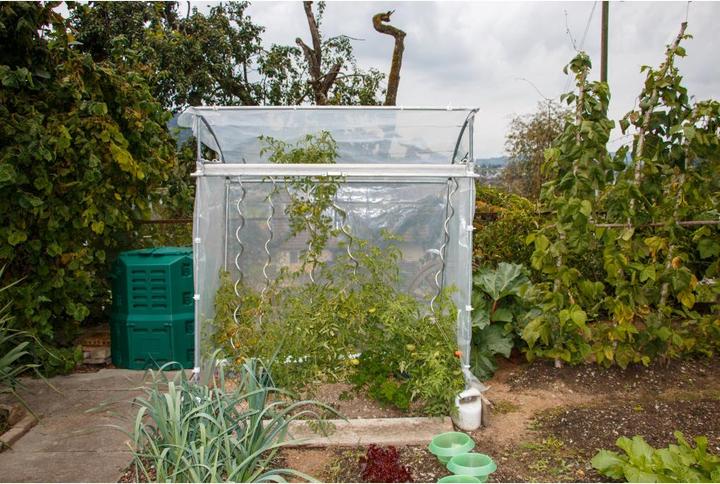 Produktbild Neogard Tomatenhaus