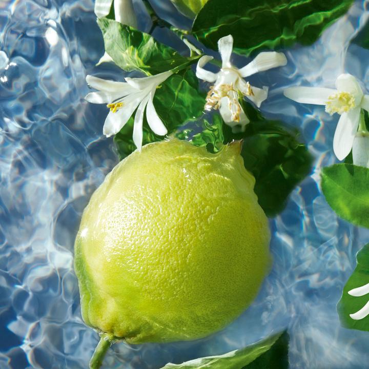 Image du produit Guerlain Aqua Allegoria Bergamot Calabria (Eau de toilette, 125 ml)