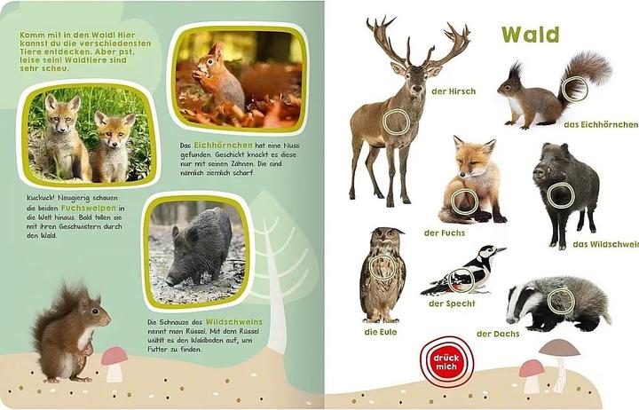 Image du produit Mein grosses Buch der Tiergeräusche (Allemand, Oliver Grieshammer, 2017)