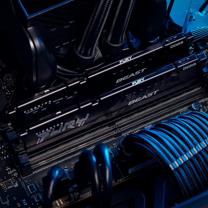 Productafbeelding Kingston FURY Beest (1 x 16GB, 5600 MHz, DDR5 RAM, DIMM 288 pin)