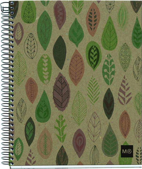 Immagine prodotto Maul ECO Design NB4 ECOLEAVES Recycle A5 SQU 80g farbig (Speditionsversand) (A5, Quadretti, Copertina rigida)