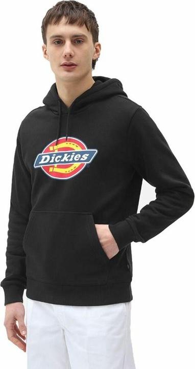 Actual product image Dickies Icon Logo Hoodie (S)