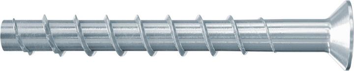 Image du produit Fischer 558234 (20 Vis par pièce)