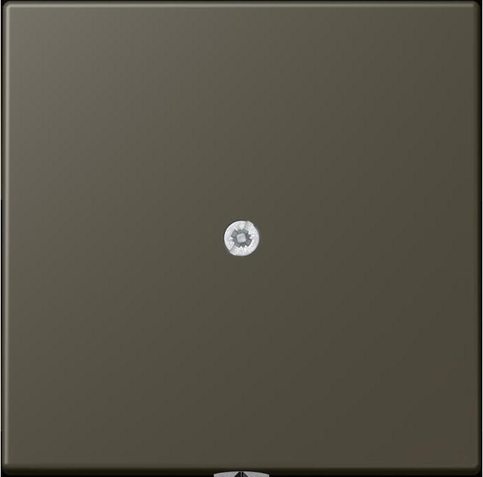 Actual product image JUNG Line outlet