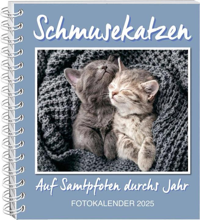 Image du produit Schmusekatzen Fotokalender 2025 (17 x 20 cm)