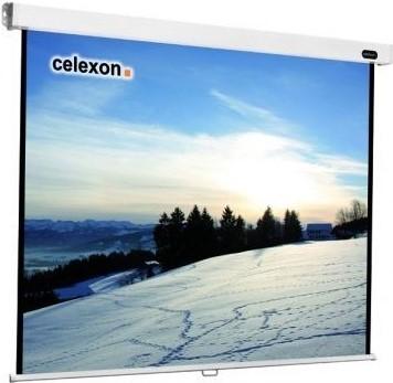 Actual product image Celexon Rollo Professional (112", 1:1)