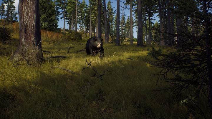 Produktbild THQ Way of the Hunter - Hunting Season One (PS5, IT, FR)