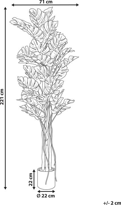 Immagine prodotto Beliani Monstera Plant (221 cm)