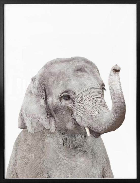 Image du produit Trenddeko Baby Elefant (50 x 60 cm)