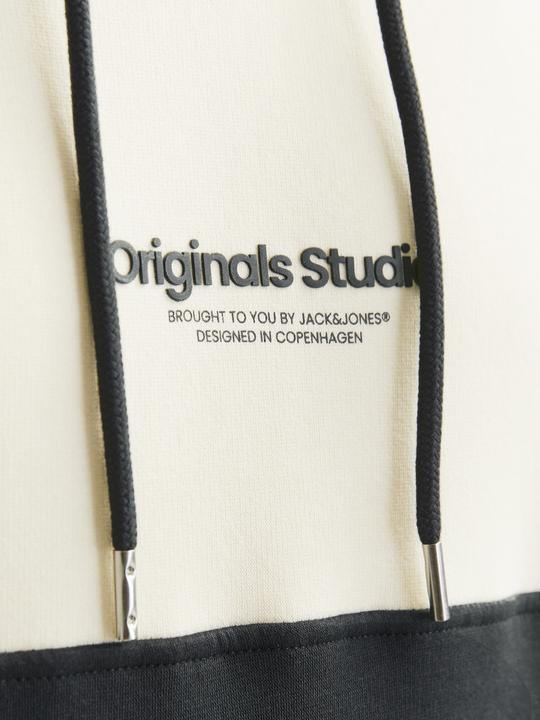 Actual product image Jack & Jones Jorvesterbro Block Sweat Hood Styd Aw24 (S)