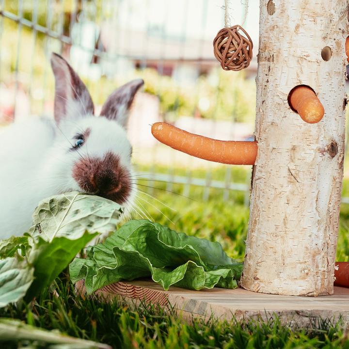 Produktbild Relaxdays Kosmetikeimer (5 l)