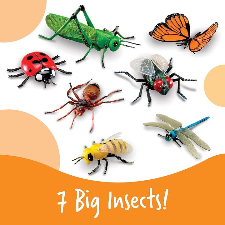 Produktbild Learning Resources Grosse Insekten Lernspielzeug-Set