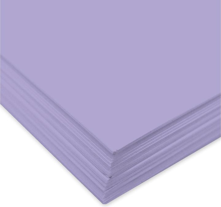 Immagine prodotto Ursus Cartone fotografico 300 g/m2 (300 g/m², 10 x)