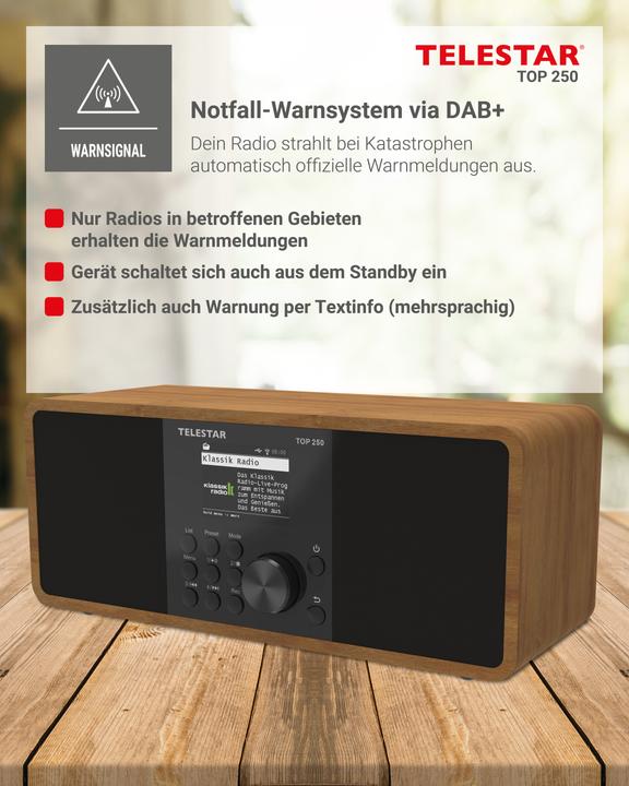 Productafbeelding Telestar Top 250 (Internet radio, DAB+, FM, Bluetooth, WiFi)