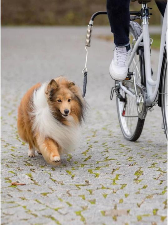 Produktbild Trixie Biker-Set (Hund, Reflektoren)