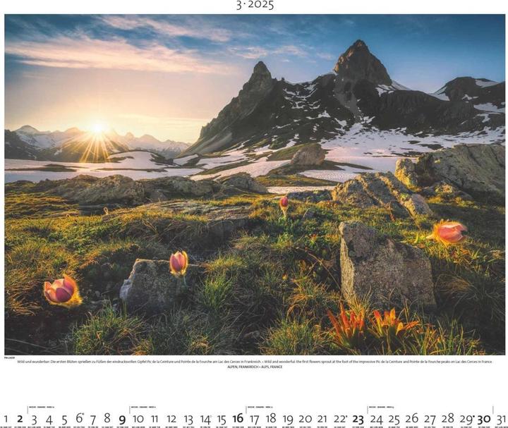 Immagine prodotto Paesaggio in luce 2025 - Calendario illustrato - Poster-calendario - 60x50 (50 x 60 cm, Copertina rigida, Tedesco)
