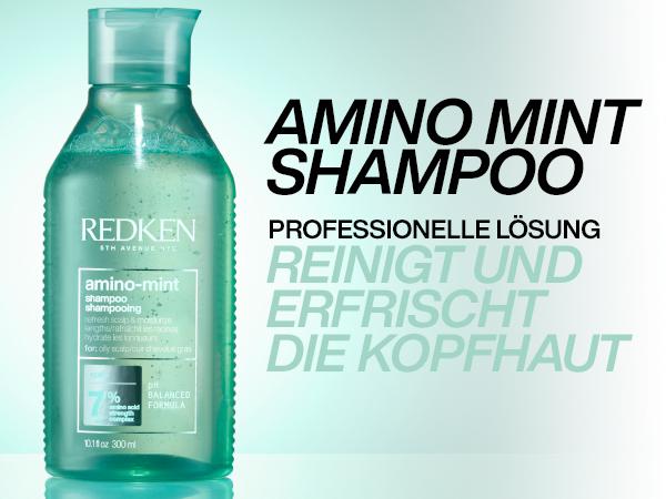 Immagine prodotto Redken Menta Amino (Shampoo liquido, 300 ml)