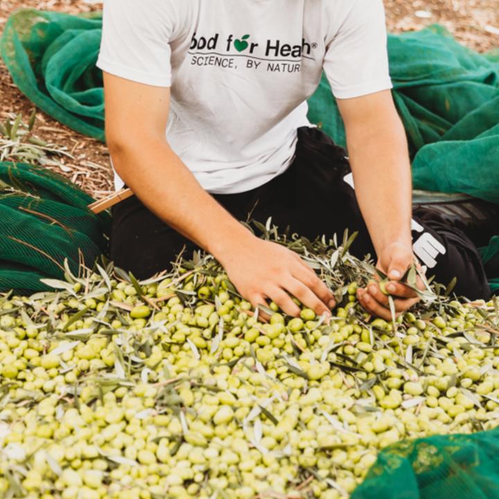 Actual product image Ólixir Bio-Natives Olivenöl Extra 1,5L, Eco-Nachfüllpack (150 cl)