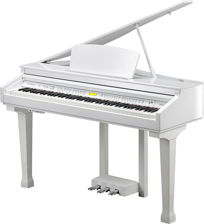 Actual product image Kurzweil KGA100