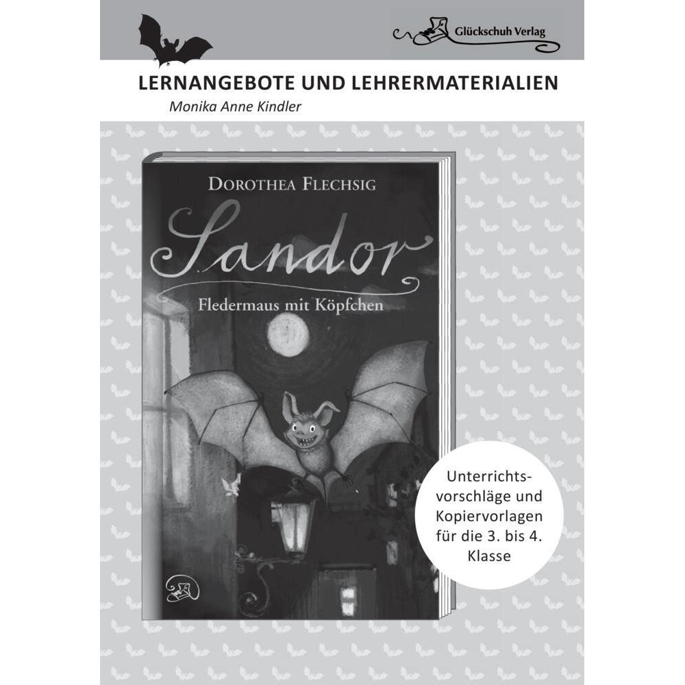 Dorothea Flechsig: Sandor – Fledermaus mit Köpfchen, Schulbücher von Monika Anne Kindler, Christian Puille
