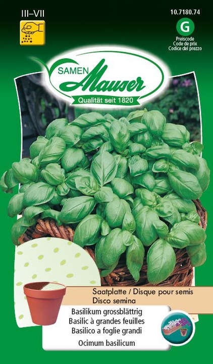 Samen Mauser Basil large leaf seed plate (Herb seeds)